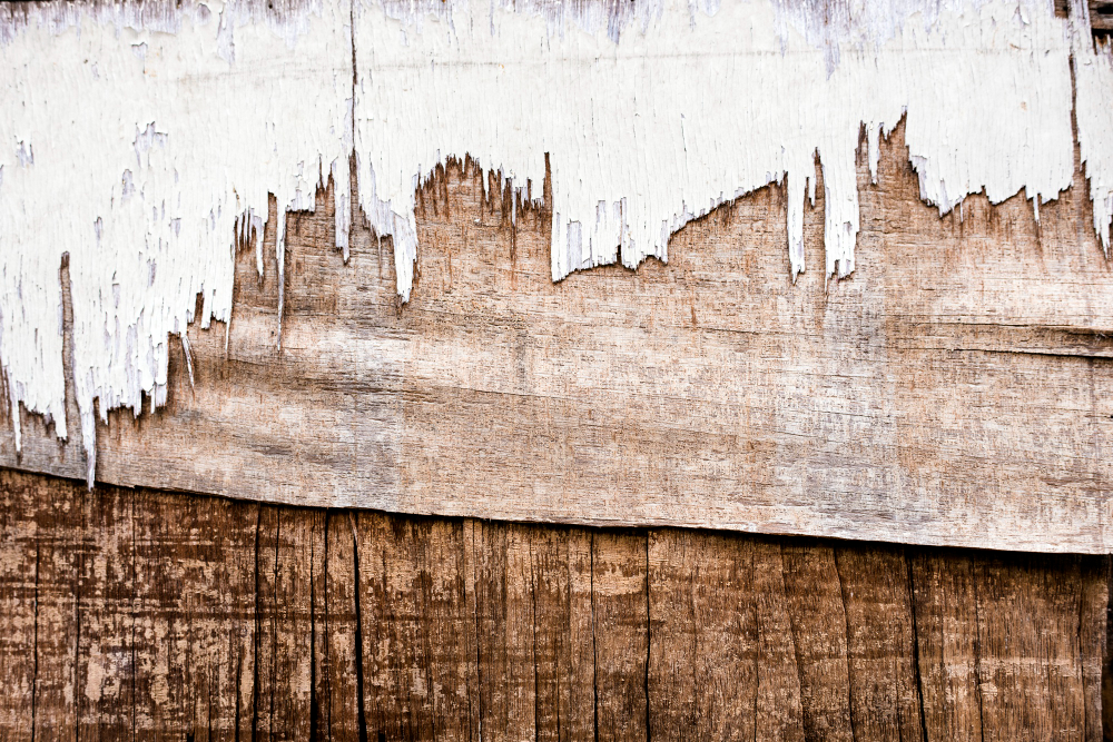 Top Reasons for Fence Boards Warping & How to Prevent It